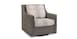 Swivel Glider