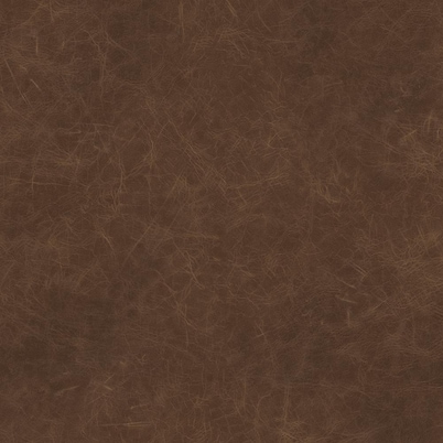 Veneto Cocoa