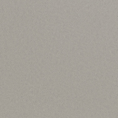 Tucson Dove Gray