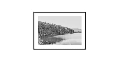 Acadia Tree Line