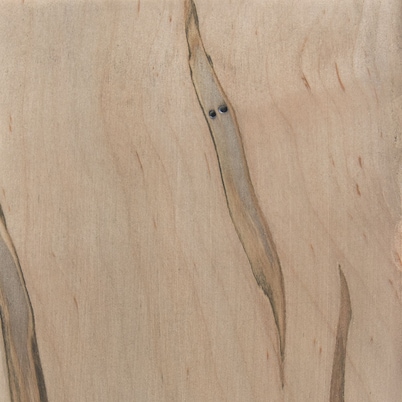 Fawn Maple
