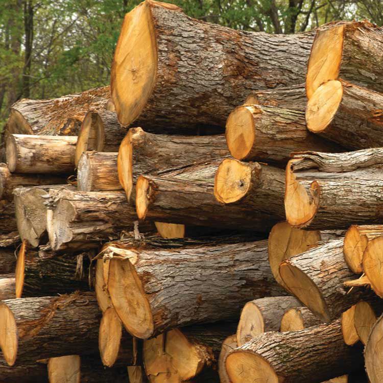 stack of logs
